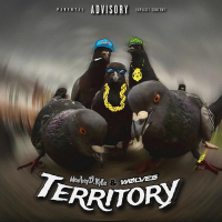 Territory (Single)