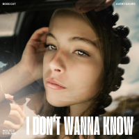 I Don't Wanna Know (EP)