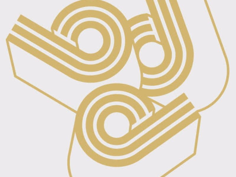 Big Brown Bag (Single)