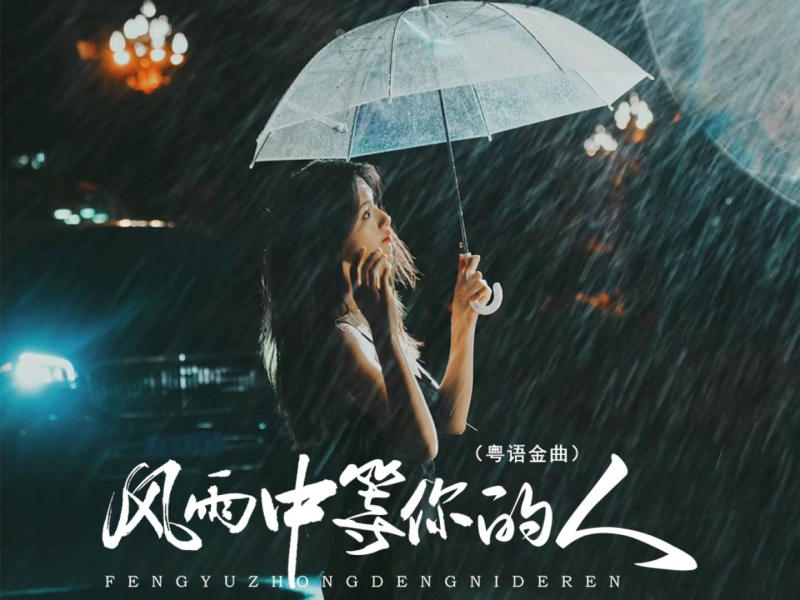 风雨中等你的人 (粤语金曲) (Single)