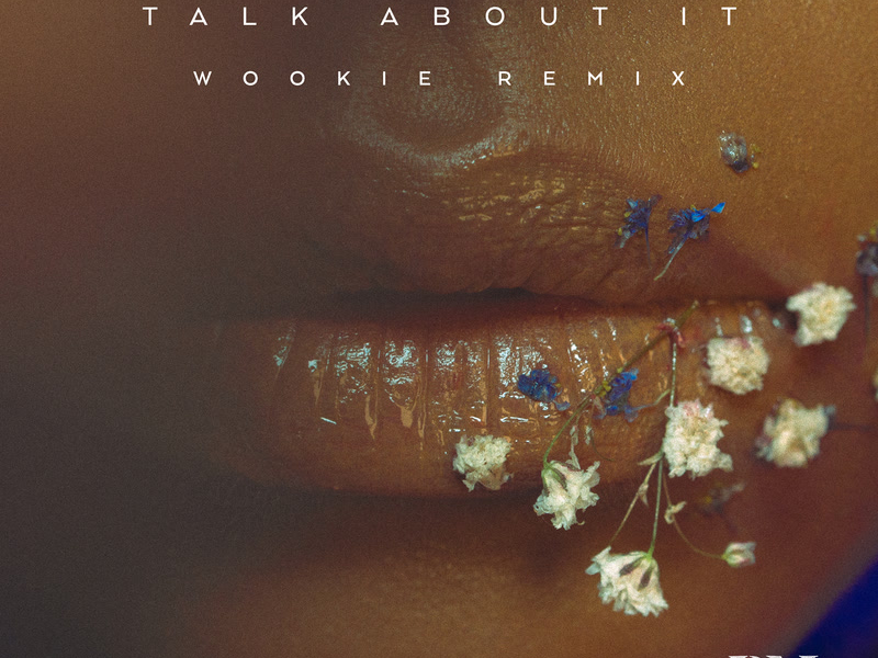 Talk About It (Wookie Remix) (Single)