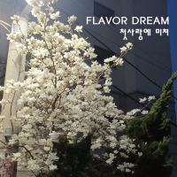 첫사랑에 미쳐 (Single)