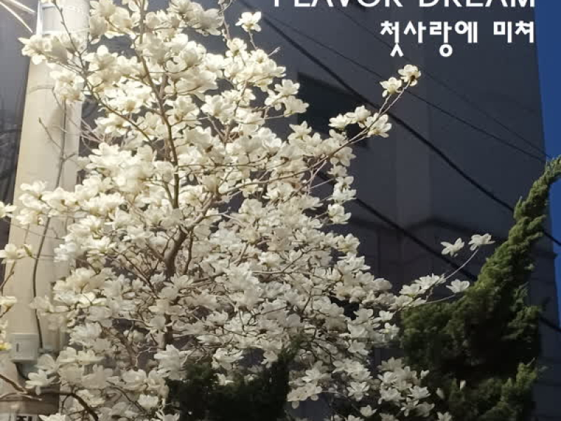 첫사랑에 미쳐 (Single)