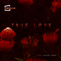 True Love (Single)