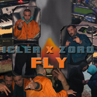 FLY (Single)