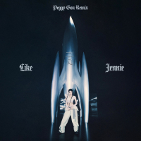 like JENNIE (Peggy Gou Remix - EXTENDED MIX) (Single)