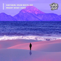 meant what i said (Single)