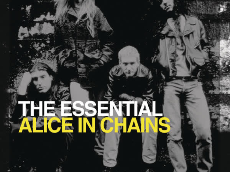 The Essential Alice In Chains