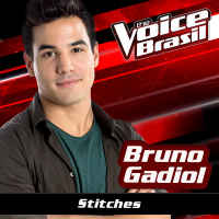 Stitches (The Voice Brasil 2016) (Single)