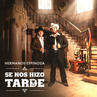 Se Nos Hizo Tarde (Single)
