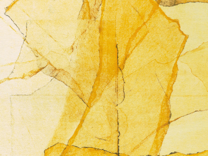 Central Park‘s Mosaics of Reservoir, Lake, Paths and Gardens