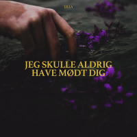 JEG SKULLE ALDRIG HAVE MØDT DIG (EP)