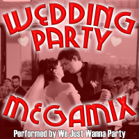 Wedding Party Megamix