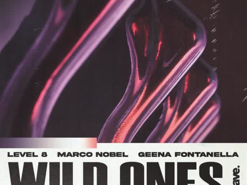 Wild Ones (Single)