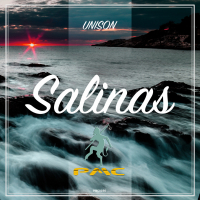 Salinas (Single)