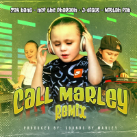 Call Marley (Remix) [feat. Zay Bang & Nef The Pharaoh] (Single)