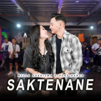 Saktenane (Single)