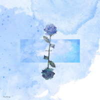 月季和玫瑰 (Single)