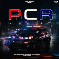 PCR (Single)