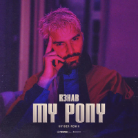 My Pony (Kryder Remix) (Single)