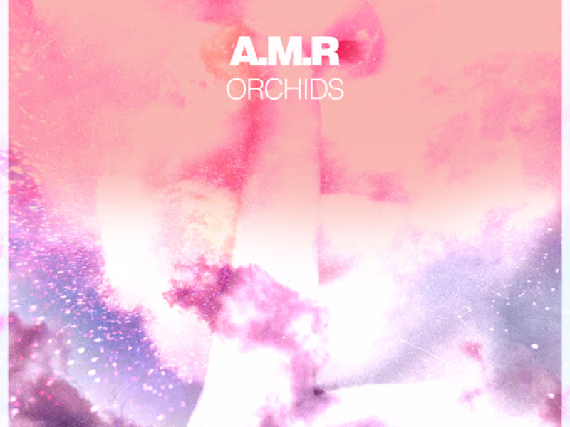 Orchids