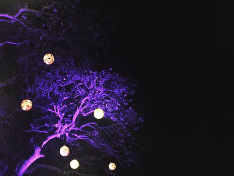 i won't let you feel alone again (Remaster) (Single)