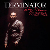 Terminator (Remix) (Single)