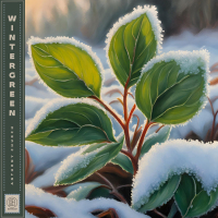 Wintergreen (Single)