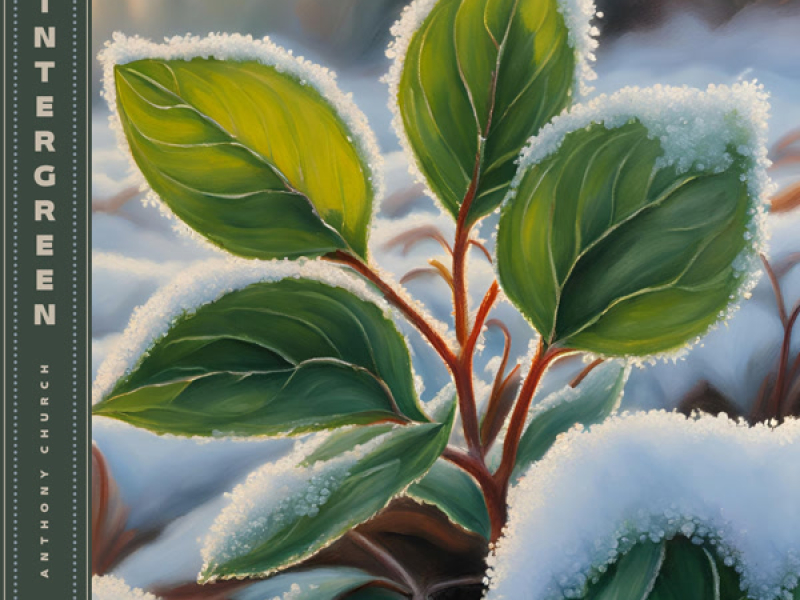 Wintergreen (Single)