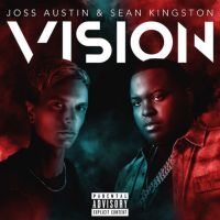 Vision (feat. Sean Kingston) (Single)