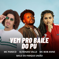 VEM PRO BAILE DO PU (Single)