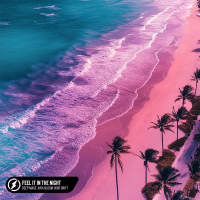 Feel It In the Night (Single)