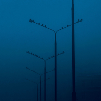 the way to nowhere (Single)