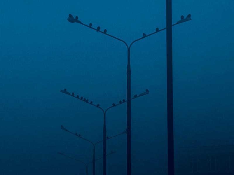 the way to nowhere (Single)