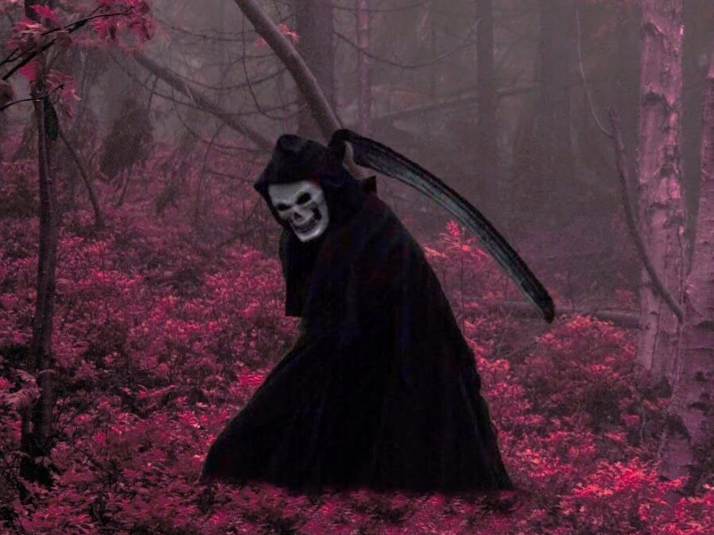 EletroPHUNK (Single)