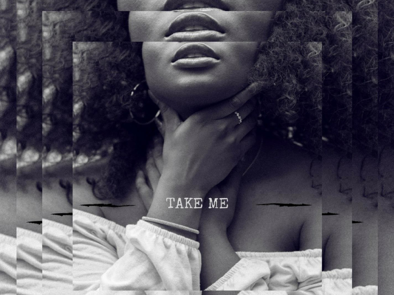 Take Me (Single)