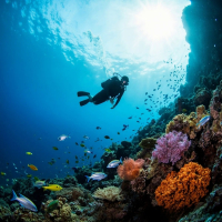 Safe in Your Arms (Single)