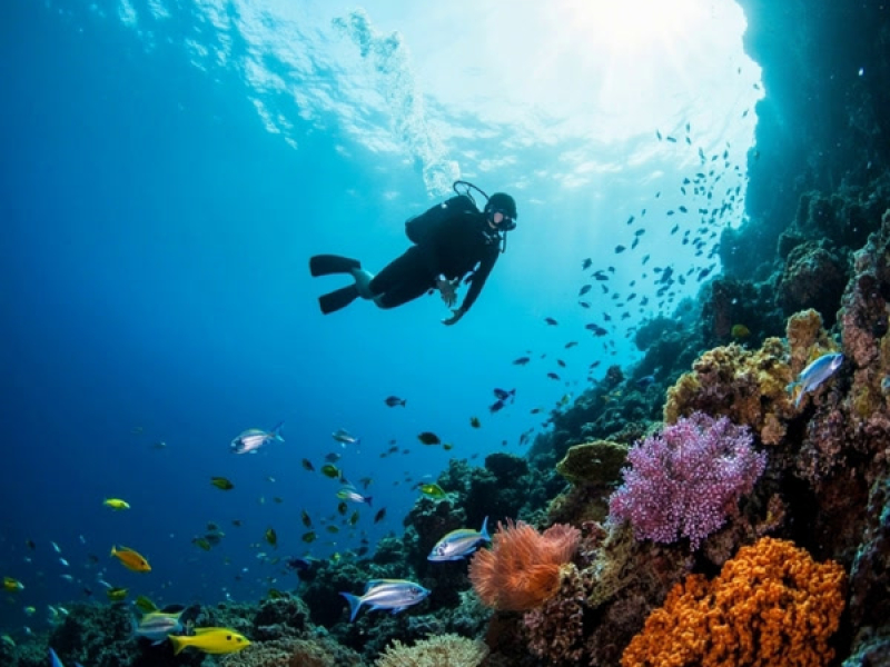 Safe in Your Arms (Single)