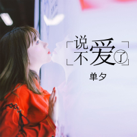 说不爱了 (Single)