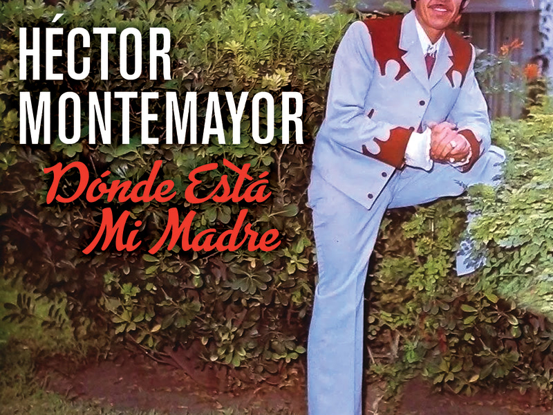 Dónde Está Mi Madre