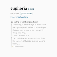 euphoria (Single)
