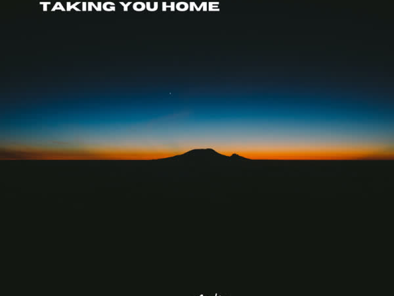 Taking You Home (Single)