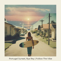 Follow The Vibe (Single)