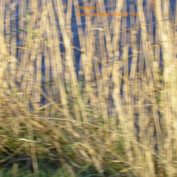 Early Rarities, Vol. 2