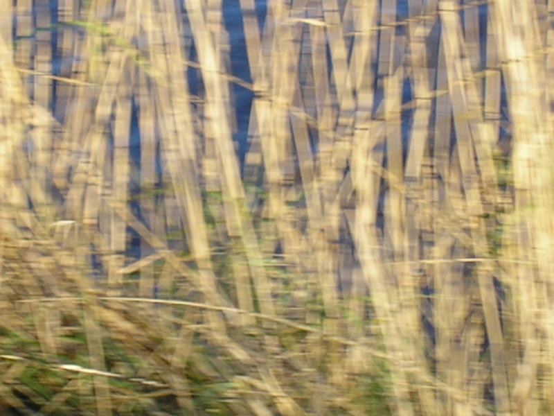 Early Rarities, Vol. 2