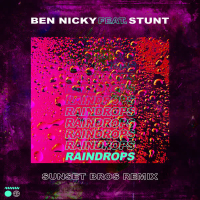 Raindrops (Sunset Bros Remix) (Single)