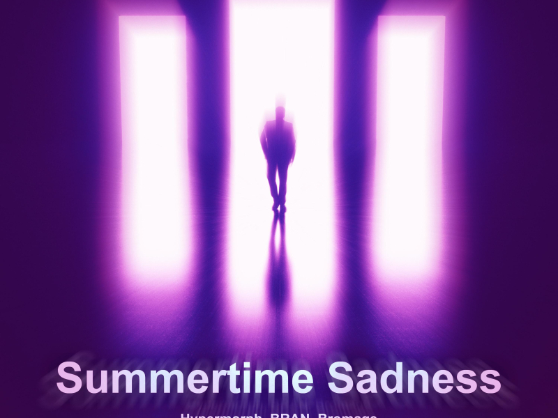 Summertime Sadness (Techno Version) (Single)