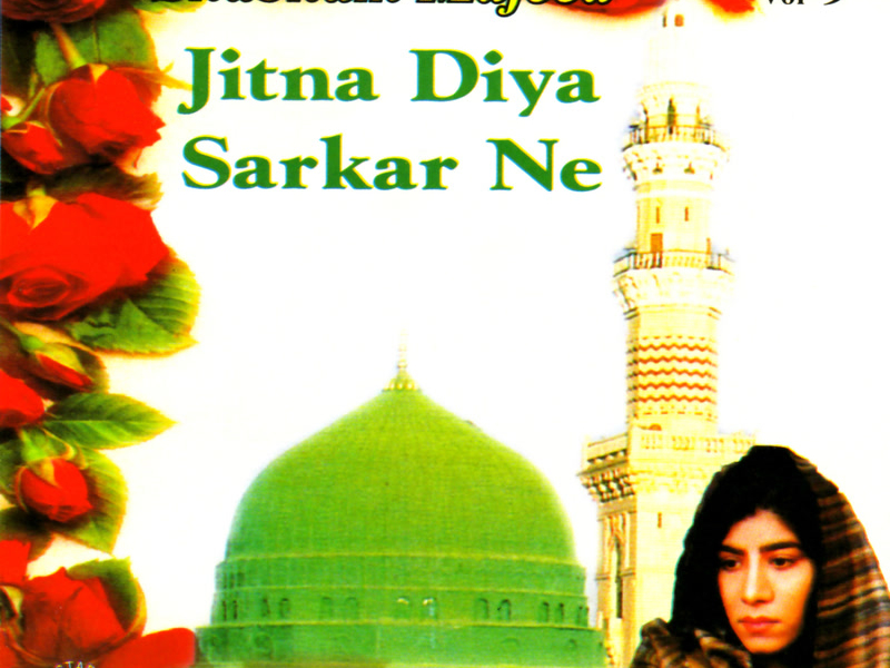 Jitna Diya Sarkar Ne, Vol. 9