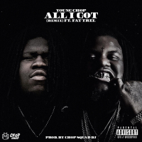 All I Got (Remix) (feat. Fat Trel)