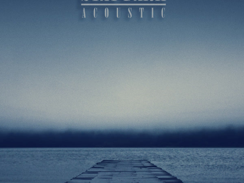 Stay Dark (Acoustic) (Single)